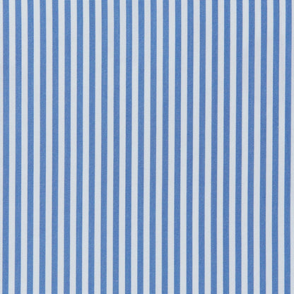 Blue and White striped fabric swatch.